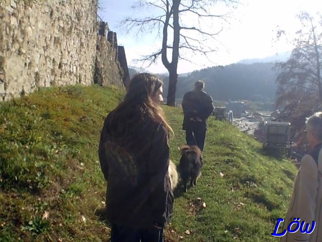 1.11.2024 -  Rundweg um die Burg
